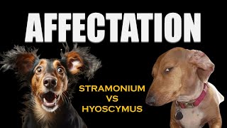 AFFECTATION PART 4: STRAMONIUM VS HYOSCYMUS #homeopathy #hhf #materiamedica #affectation