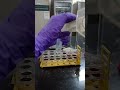 ctab preparation/ctab Preparation for DNA Isolation