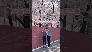 🌸봄바람 휘날리는 연성대학교 캠퍼스🌸 벚꽃보다 아름다운 학생들💕｜연성대학교 Yeonsung University