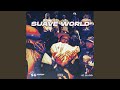 Suave World Outro Autobiography