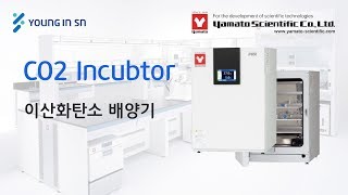 [영인에스엔] (YAMATO) CO2 Incubator BNA600 Korean