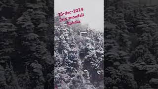 Shimla's Magical Second Snowfall of the Season!