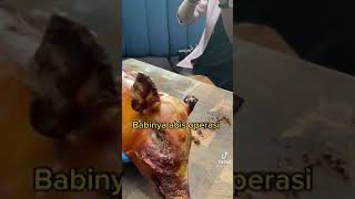 Download Mp3 TikTok Babi panggang anakan isi nasi mantap 🤗