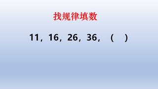 五年级找规律填数，11、16、26、36、有点难