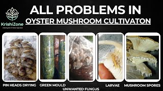 All Problems in Oyster Mushroom Cultivation