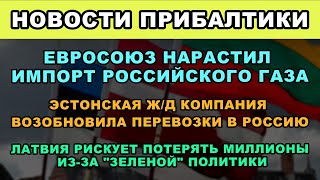 В ЭСТОНИИ РЕЗКО ВОЗРОСЛА ЗАБОЛЕВАЕМОСТЬ КОКЛЮШЕМ, 150 ЕВРО — ПОСОБИЕ ПО РОЖДЕНИЮ В РИГЕ