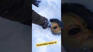 I found the alien's head under the ice! 👽