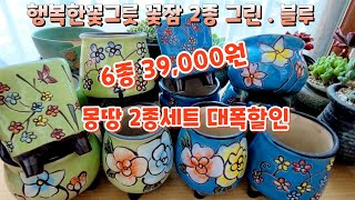 국민다육이와 잘 어울리는 6종 39,000 공간활용 예쁜 화분을  행복한꽃그릇 꽃잠 2세트 그린 블루