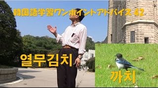 韓国語学習ワンポイントアドバイス42열무김치