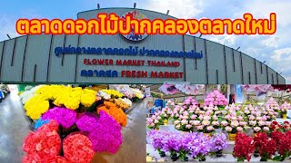 ปากคลองตลาดใหม่ ศูนย์กลางตลาดดอกไม้ที่ใหญ่ที่สุดของไทย ดอกไม้เยอะ ขายถูกมาก Flower Market Thailand