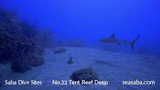 Saba Dive Sites - No.22 Tent Reef Deep - Dutch Caribbean