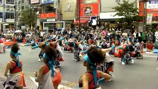 2012東京よさこい８  ダンスパフォーマンス集団 迫ーHAKUー