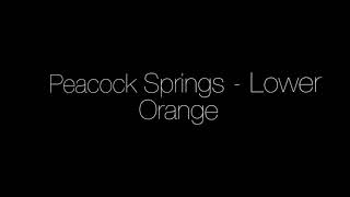 Peacock Springs Lower Orange Sept 5, 2019