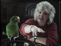 time life nature video library parrots look who s talking