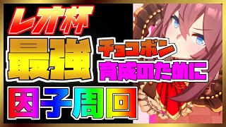 【ウマ娘】【無課金】チャンミに向けて因子周回