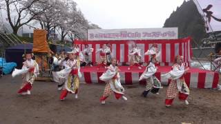 チーム満天星☆2017智頭桜Ｃａｆｅ2日目　華となれ