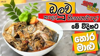 ඔලුව කාලා තියෙනවාද ? මේ විදිහට තොර මාළු ...#fishing #cooking #srilanka #food