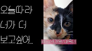 [B대면데이트]첫번째 데이트 삐요/4개월/매혹녀