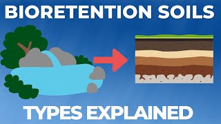 Bioretention EXPLAINED In 7 Minutes