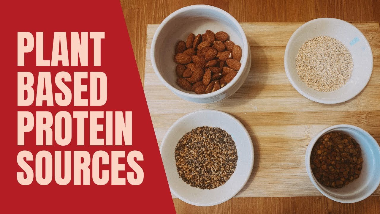 How To Get Enough Protein As A Vegan Or Vegetarian | Personal Trainer ...