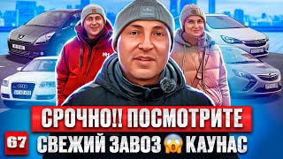 Находки в Каунасе😱 авторынок удивил! 67 выпуск