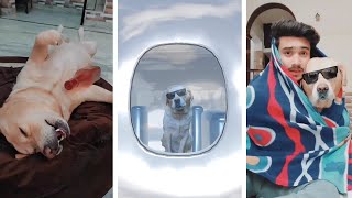 funny dog video part-2😂 | talking dog🐕| Anant rastogi & leo