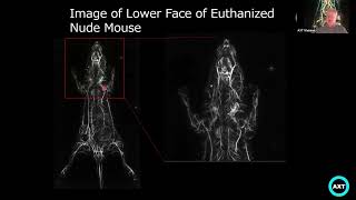 Next Generation Photoacoustic Imaging for Translational Research