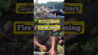 அமெரிக்க Military Fire Ant Training #shorts #ytshorts #tamil #amazingfacts #america #usa