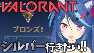 【VALORANT】初心者だけどシルバー行きたい【Vtuber蒼乃火らみ】