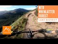 Whinlatter Forest MTB trail centre guide / Lake District mountain biking