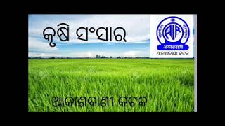 KRUSHI SANSARA, ଅଗ୍ରଣୀ ଚାଷୀ କ୍ଷୀରୋଦ ଚନ୍ଦ୍ର ମିଶ୍ର ଙ୍କ ସହ ସାକ୍ଷାତକାର।