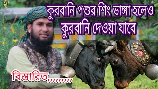 কুরবানি পশুর শিং ভাঙ্গা হলে কুরবানি হবে বিস্তারিত দেখুন/মুফতি শেফাউল করিম সালেহী