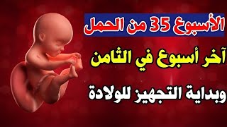 الأسبوع 35 من الحمل آخر أسبوع في الثامن وبداية التجهيز للولادة ..