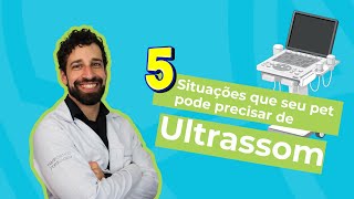 5 Situações que o seu pet pode precisar de Ultrassom