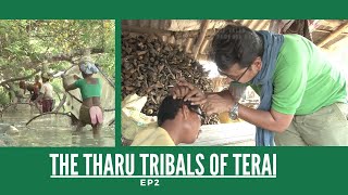 THE THARU TRIBALS OF TERAI EP2