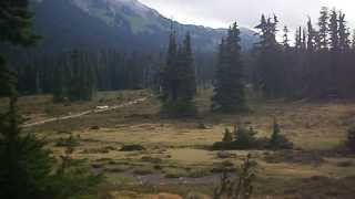 Garibaldi Park - Taylor Meadows 2