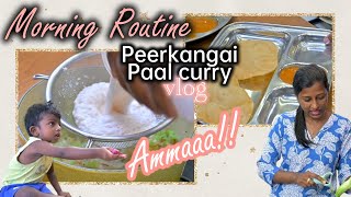 Chikoo IPO PESRANA / Tiffin box ku idha senju kodunga/Peerkangai paal curry