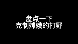 小可爱们玩嫦娥有没有被这些打野追着砍过【国服嫦娥衣衣】