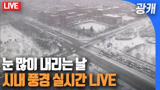 [실시간] 눈 내리는 풍경 LIVE