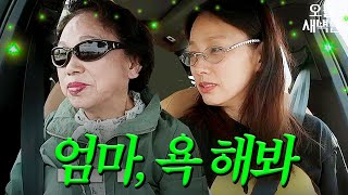 이효리 : 엄마 욕 너무 좋아(?)｜엄마, 단둘이 여행 갈래?｜JTBC 240616 방송 외