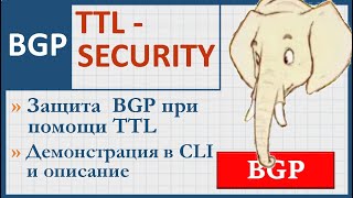 6.5 BGP. Border Gateway protocol. Часть 5. TTL-security