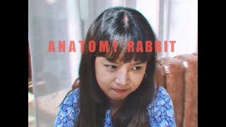 ANATOMY RABBIT - ธรรมดาแสนพิเศษ | Extraordinary (Official Audio)