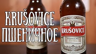 Krušovice Пшеничное по ШОК ЦЕНЕ