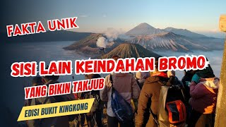 SISI LAIN KEUNIKAN WISATA BROMO YANG MENAKJUBKAN DI BUKIT KINGKONG | @KABARBROMO