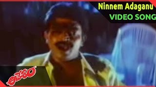 Aavesham || Ninnem Adaganu Video Song || Rajasekhar, Nagma, Madhu Bala