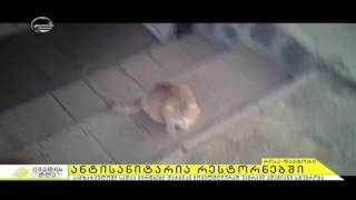 რა ხდება თბილისის პრესტიჟულ რესტორნებში
