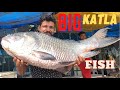 GIANT CATLA FISH CUTTING BY EXPERT FISH CUTTER -INDIAN FISH MARKET | Fish Cutting Skills|RRRM |