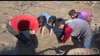 รุมจับฝูงปลาอย่างเยอะทั้งปลาช่อนปลากรายปลาดุก สูบสระที่โดนน้ำท่วม-Catching mud fish a lot