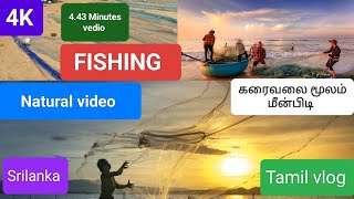 #fishing #naturalfishing #fishingvideo கரைவலை மீன்பிடி||Natural  fishing vlog