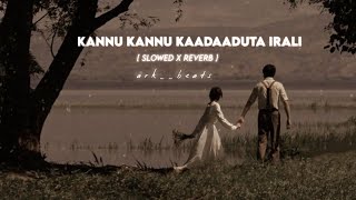 kannu kannu Kaadaaduta Irali song | doordarshan movie songs | vasuki vaibhav | #lofi #kannadalofi #k